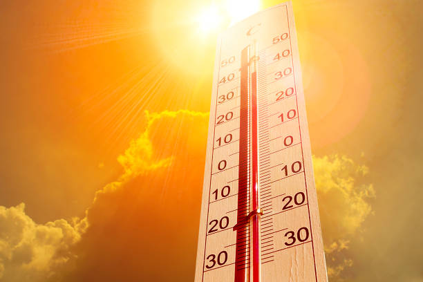 Breaking News: Professional Blood Cleanup Services So important in this heat!