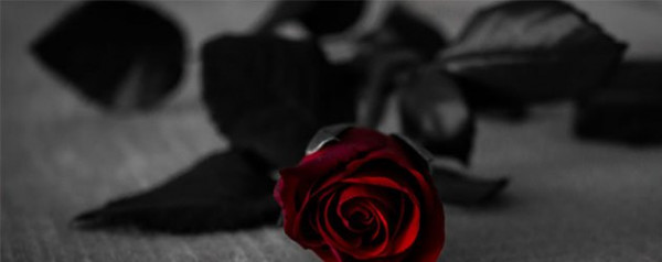Compassionate Suicide Cleanup Services in Miami, FL